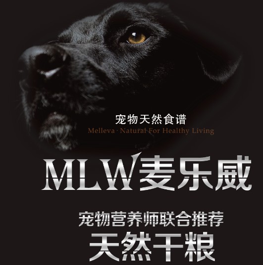 牧羊犬粮